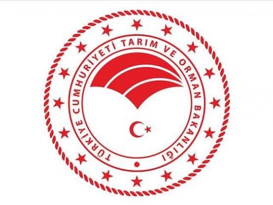 ANAFARTALAR ORMAN İŞLETME MÜDÜRLÜĞÜ ECEABAT,ANAFARTALAR,BOĞAZ,GELİBOLU VE GÖKÇEADA ORMAN İŞLETME ŞEFLİKLERİNİN YOL ŞEBEKE PLANI YAPIMI