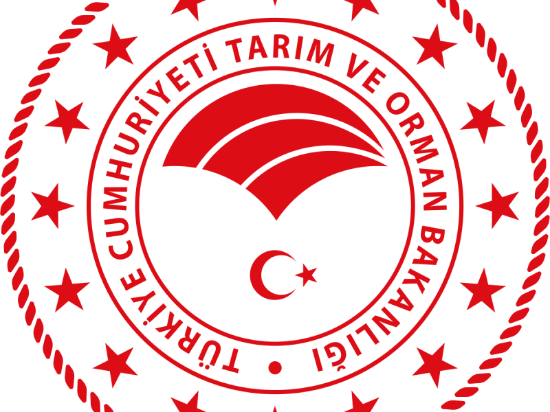 KIYMA ETİ, TUZSUZ İNEK PEYNİRİ, TUZSUZ CİVCİV YEMİ, HAVUÇ, YUMURTA VE TAVUK CİĞERİ ALINACAKTIR